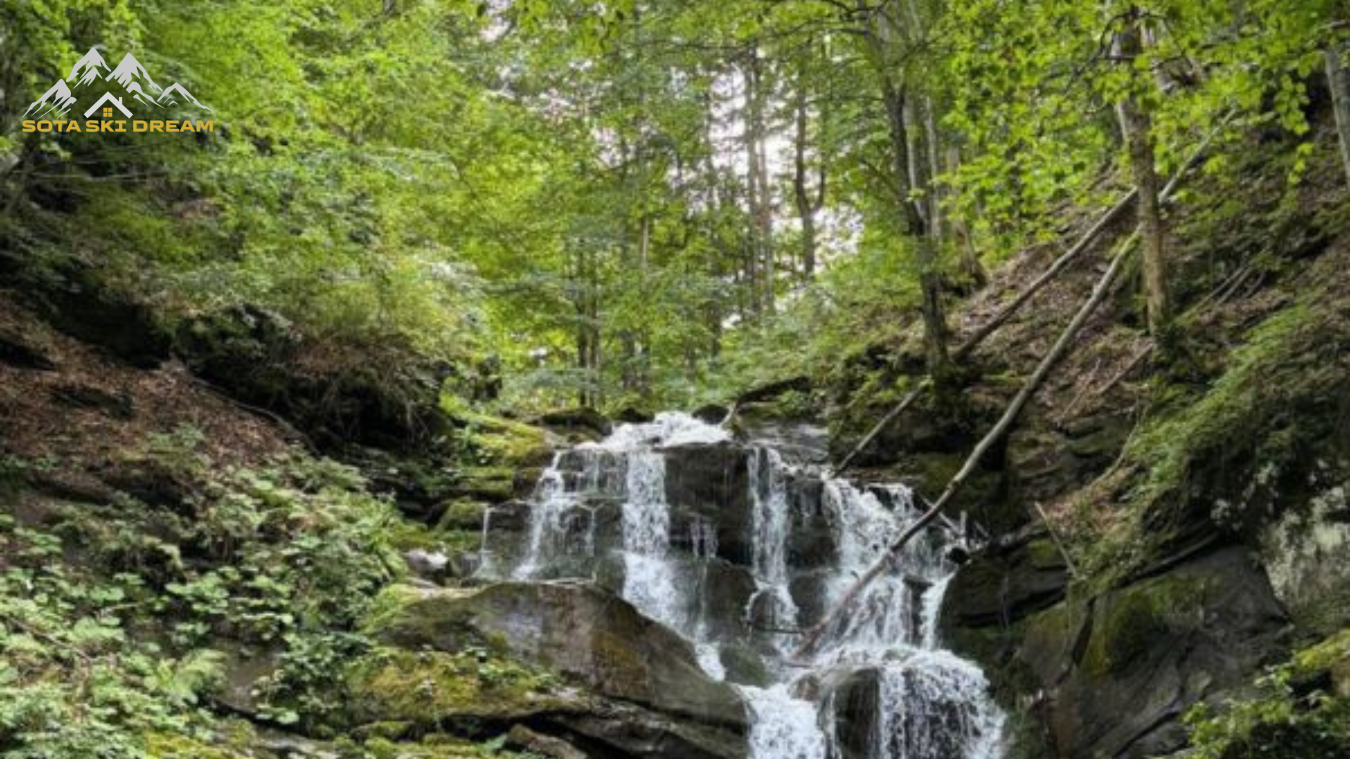 Водоспад Шипіт: Легенда та Магія Карпатських Гір
